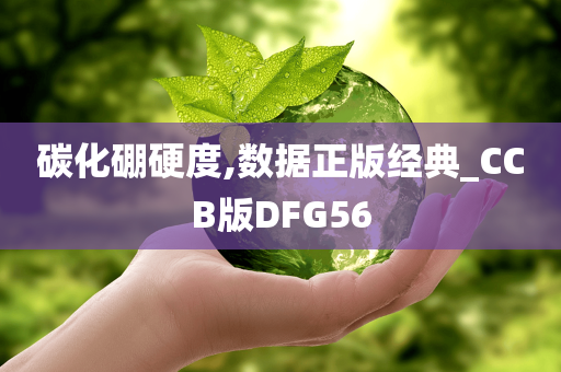 碳化硼硬度,数据正版经典_CCB版DFG56