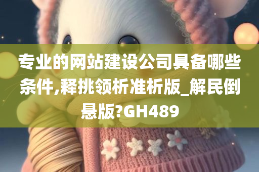 专业的网站建设公司具备哪些条件,释挑领析准析版_解民倒悬版?GH489