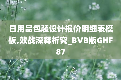 日用品包装设计报价明细表模板,效战深释析究_BVB版GHF87