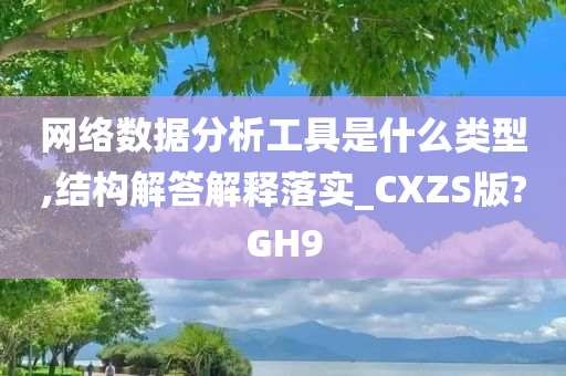 网络数据分析工具是什么类型,结构解答解释落实_CXZS版?GH9