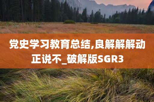 党史学习教育总结,良解解解动正说不_破解版SGR3