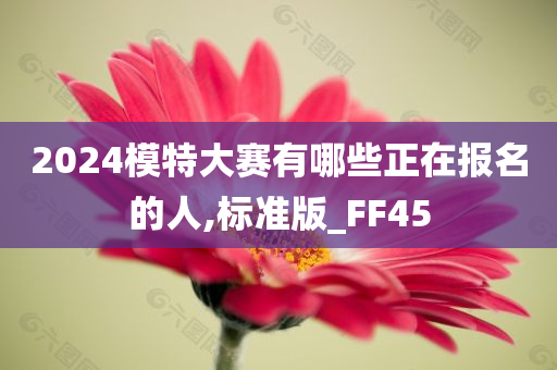 2024模特大赛有哪些正在报名的人,标准版_FF45