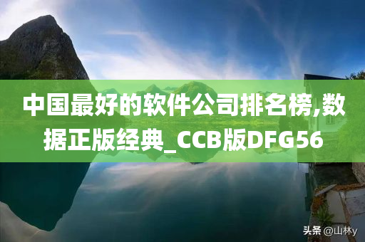 中国最好的软件公司排名榜,数据正版经典_CCB版DFG56