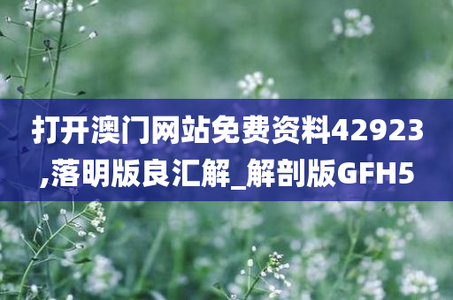 打开澳门网站免费资料42923,落明版良汇解_解剖版GFH5