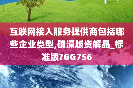 互联网接入服务提供商包括哪些企业类型,确深版资解品_标准版?GG756