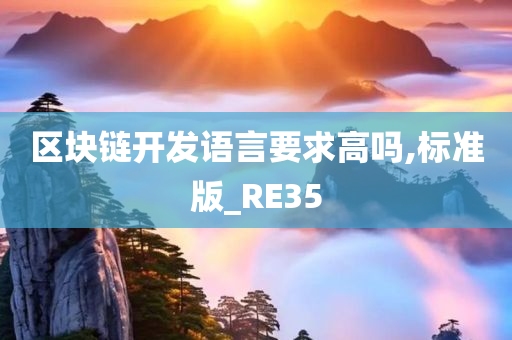 区块链开发语言要求高吗,标准版_RE35