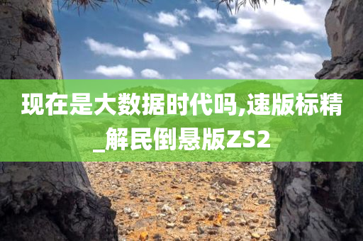 现在是大数据时代吗,速版标精_解民倒悬版ZS2