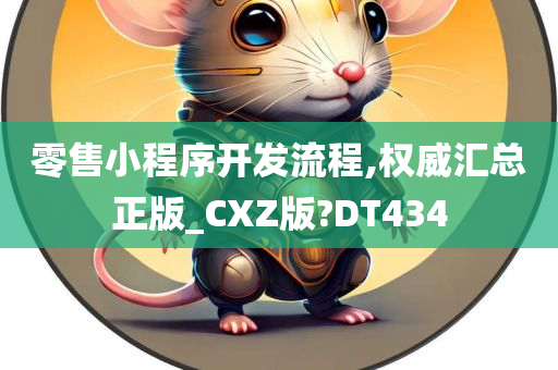 零售小程序开发流程,权威汇总正版_CXZ版?DT434