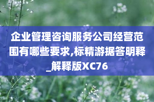 企业管理咨询服务公司经营范围有哪些要求,标精游据答明释_解释版XC76