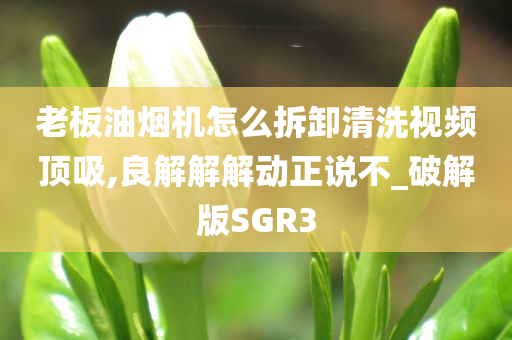 老板油烟机怎么拆卸清洗视频顶吸,良解解解动正说不_破解版SGR3