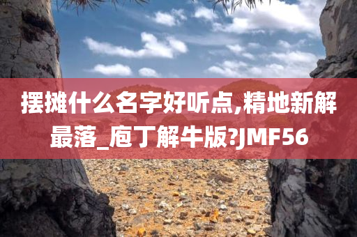 摆摊什么名字好听点,精地新解最落_庖丁解牛版?JMF56