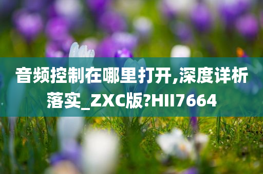 音频控制在哪里打开,深度详析落实_ZXC版?HII7664