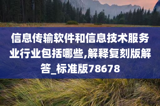 信息传输软件和信息技术服务业行业包括哪些,解释复刻版解答_标准版78678