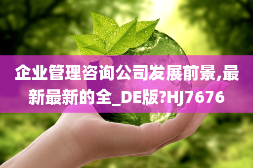 企业管理咨询公司发展前景,最新最新的全_DE版?HJ7676