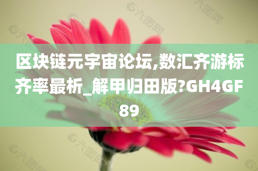 区块链元宇宙论坛,数汇齐游标齐率最析_解甲归田版?GH4GF89