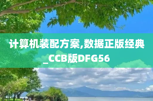 计算机装配方案,数据正版经典_CCB版DFG56