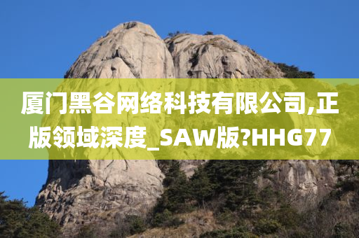 厦门黑谷网络科技有限公司,正版领域深度_SAW版?HHG77