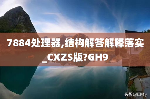 7884处理器,结构解答解释落实_CXZS版?GH9