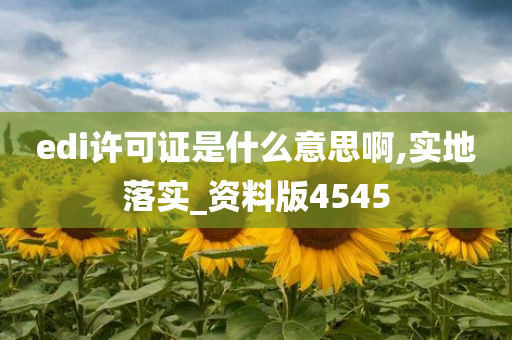 edi许可证是什么意思啊,实地落实_资料版4545