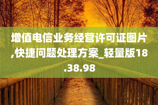 增值电信业务经营许可证图片,快捷问题处理方案_轻量版18.38.98