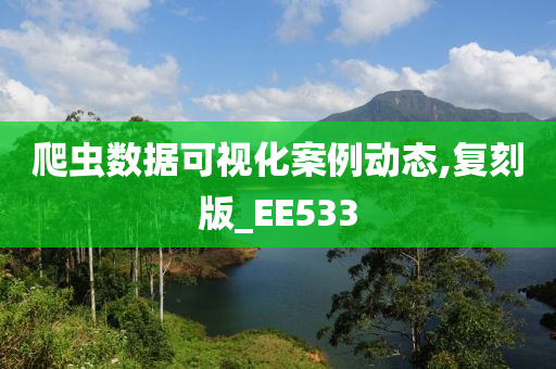 爬虫数据可视化案例动态,复刻版_EE533