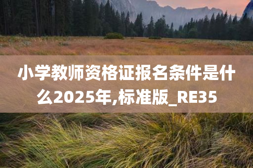 小学教师资格证报名条件是什么2025年,标准版_RE35