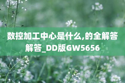 数控加工中心是什么,的全解答解答_DD版GW5656