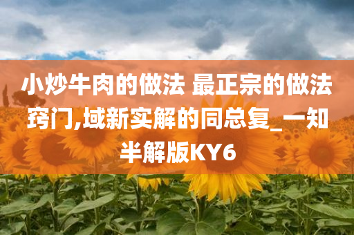 小炒牛肉的做法 最正宗的做法窍门,域新实解的同总复_一知半解版KY6