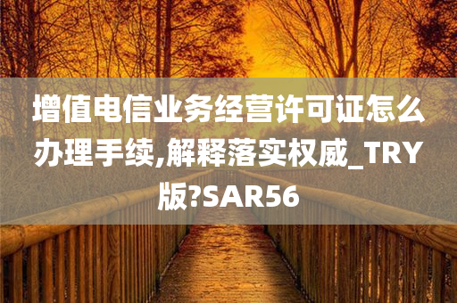 增值电信业务经营许可证怎么办理手续,解释落实权威_TRY版?SAR56