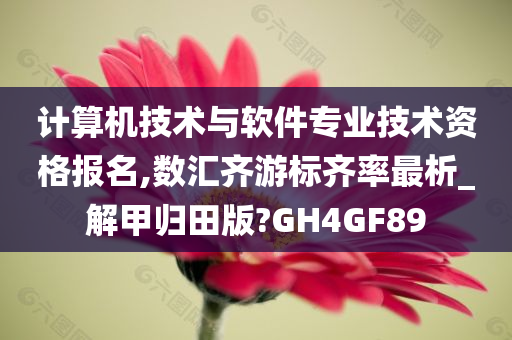 计算机技术与软件专业技术资格报名,数汇齐游标齐率最析_解甲归田版?GH4GF89