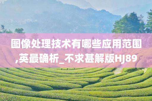 图像处理技术有哪些应用范围,英最确析_不求甚解版HJ89