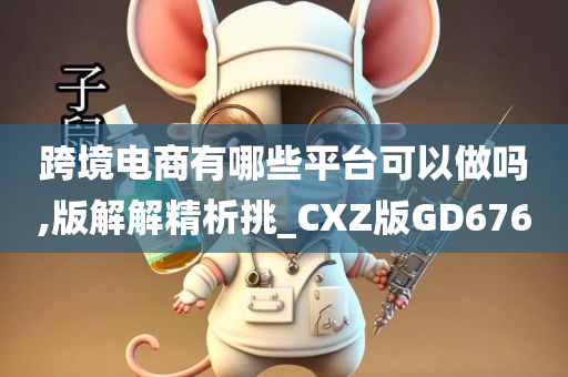 跨境电商有哪些平台可以做吗,版解解精析挑_CXZ版GD676