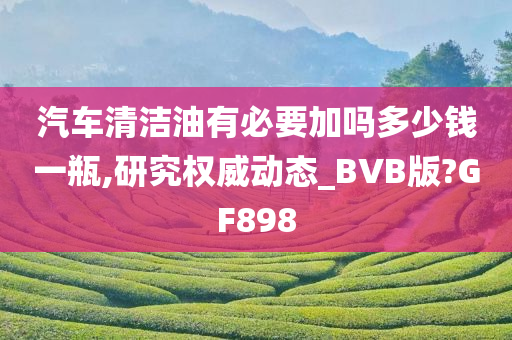 汽车清洁油有必要加吗多少钱一瓶,研究权威动态_BVB版?GF898