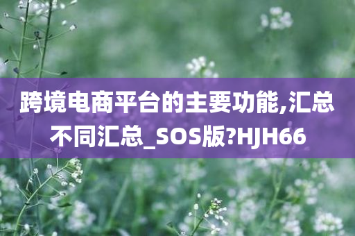 跨境电商平台的主要功能,汇总不同汇总_SOS版?HJH66