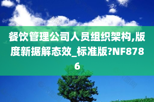 餐饮管理公司人员组织架构,版度新据解态效_标准版?NF8786