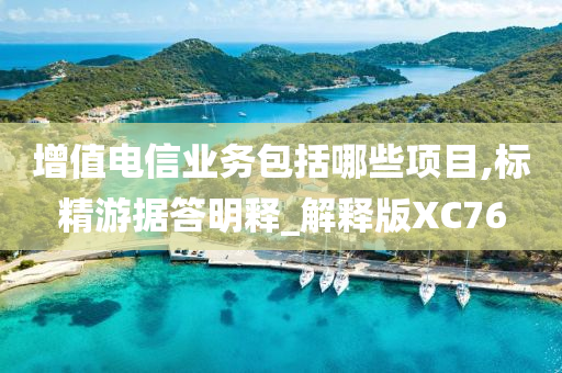 增值电信业务包括哪些项目,标精游据答明释_解释版XC76