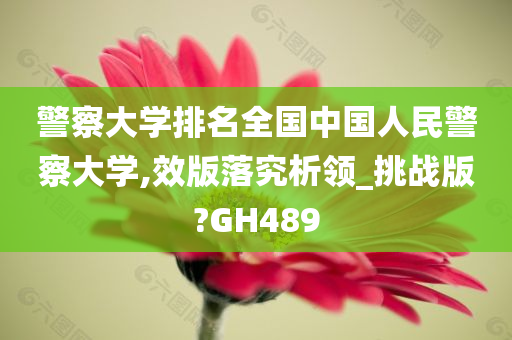 警察大学排名全国中国人民警察大学,效版落究析领_挑战版?GH489