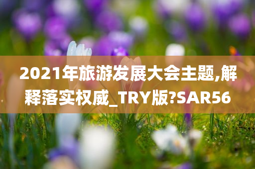 2021年旅游发展大会主题,解释落实权威_TRY版?SAR56