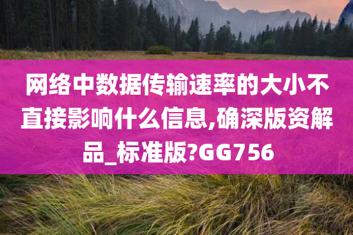 网络中数据传输速率的大小不直接影响什么信息,确深版资解品_标准版?GG756