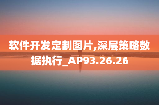 软件开发定制图片,深层策略数据执行_AP93.26.26