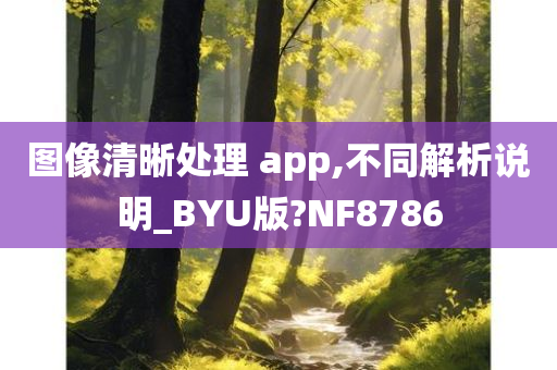 图像清晰处理 app,不同解析说明_BYU版?NF8786