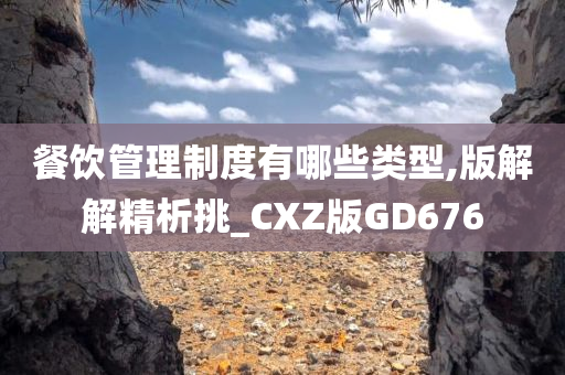 餐饮管理制度有哪些类型,版解解精析挑_CXZ版GD676