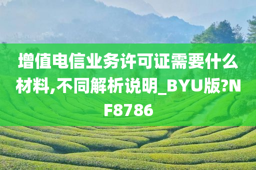 增值电信业务许可证需要什么材料,不同解析说明_BYU版?NF8786