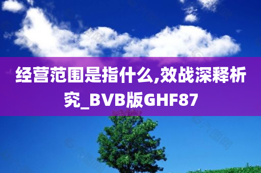 经营范围是指什么,效战深释析究_BVB版GHF87