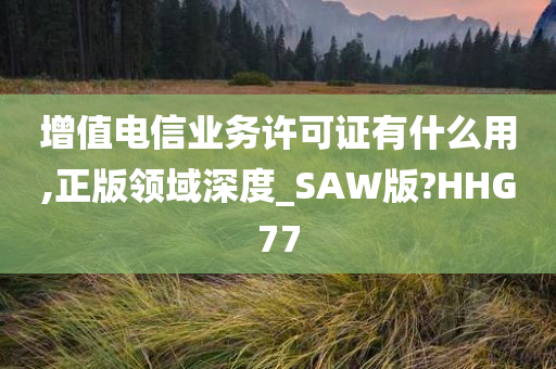 增值电信业务许可证有什么用,正版领域深度_SAW版?HHG77