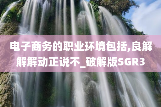 电子商务的职业环境包括,良解解解动正说不_破解版SGR3