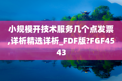 小规模开技术服务几个点发票,详析精选详析_FDF版?FGF4543