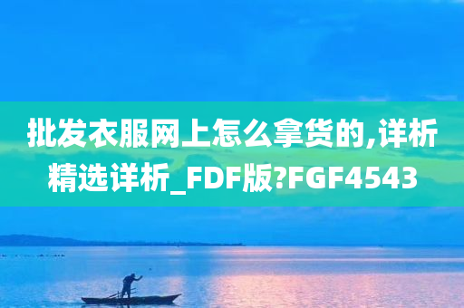 批发衣服网上怎么拿货的,详析精选详析_FDF版?FGF4543