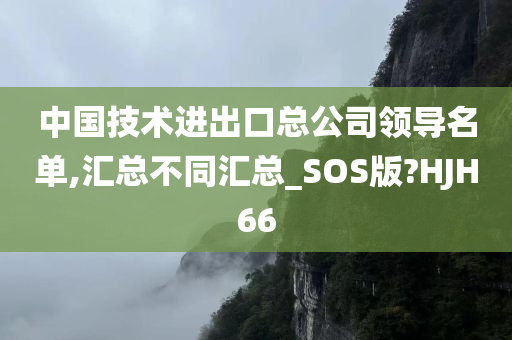 中国技术进出口总公司领导名单,汇总不同汇总_SOS版?HJH66