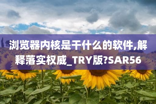 浏览器内核是干什么的软件,解释落实权威_TRY版?SAR56